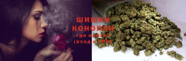 мет Пересвет