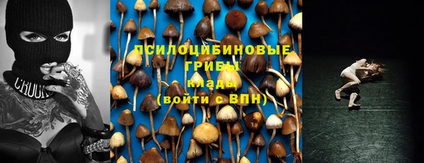 мет Пересвет