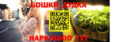 гашик Аргун