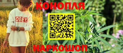 мдпв Апрелевка