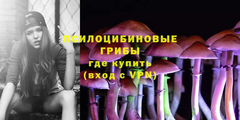 Галлюциногенные грибы Magic Shrooms  Асбест 