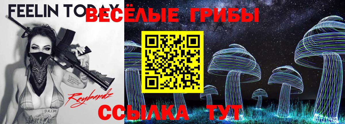 Псилоцибиновые грибы MAGIC MUSHROOMS  Асбест 