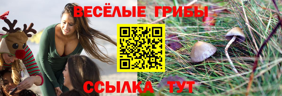 Асбест  Псилоцибиновые грибы прущие грибы  Вход с VPN  Галлюциногенные грибы Psilocybe 